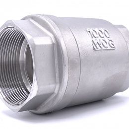 Stainless Steel Check Valve, threaded 2”