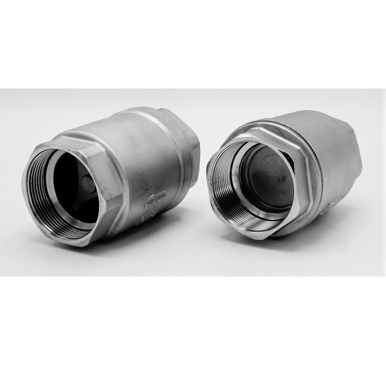 Stainless Steel Check Valve, threaded 2”