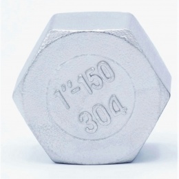Stainless steel end cap, threaded, type 326 1"