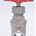 Stainless steel gate valve 1/2”