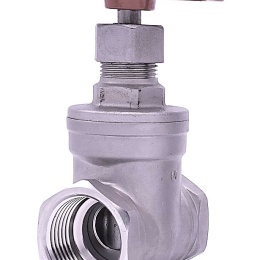 Stainless steel gate valve 1”