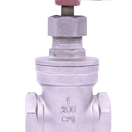 Stainless steel gate valve 1”