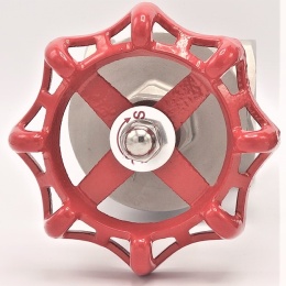 Stainless steel gate valve 2 1/2”