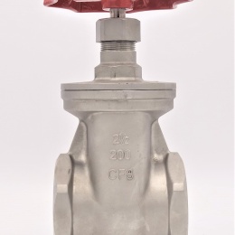 Stainless steel gate valve 2 1/2”