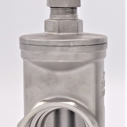 Stainless steel gate valve 2”