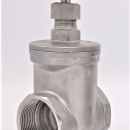 Stainless steel gate valve 2”