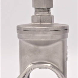 Stainless steel gate valve 2”