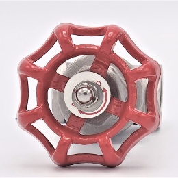 Stainless steel gate valve 3/4”