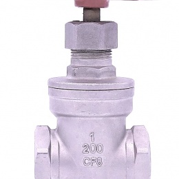 Stainless steel gate valve