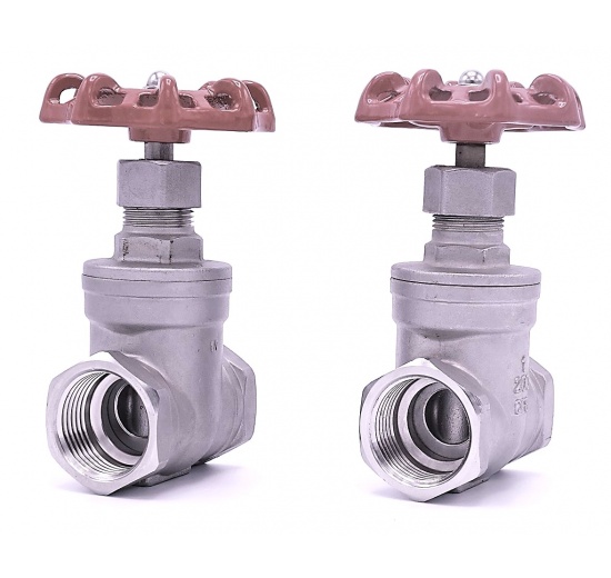 Stainless steel gate valve