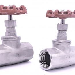 Stainless steel globe valve 1 1/2”