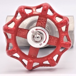 Stainless steel globe valve 1 1/4”