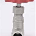 Stainless steel globe valve 1/2”