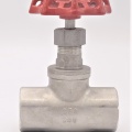Stainless steel globe valve 1”