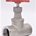 Stainless steel globe valve 1”