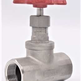 Stainless steel globe valve 1”