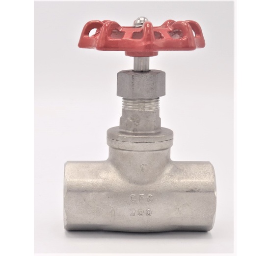 Stainless steel globe valve 1”