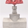Stainless steel globe valve 2”