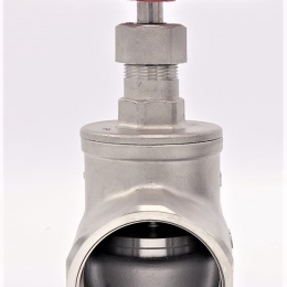 Stainless steel globe valve 2”