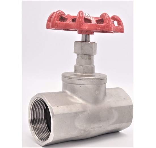 Stainless steel globe valve 2”