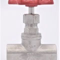 Stainless steel globe valve 3/4”