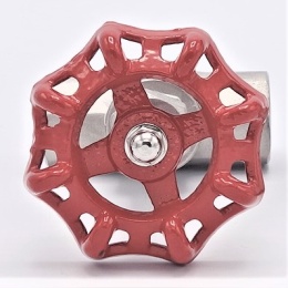 Stainless steel globe valve 3/4”