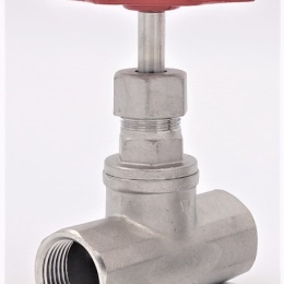 Stainless steel globe valve 3/4”