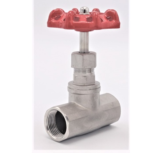 Stainless steel globe valve 3/4”