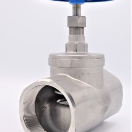 Stainless steel globe valve 3”