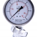 Stainless steel manometer with separating membrane, union DIN 11851, dial 100 mm, Nut DN40 0-6 bar