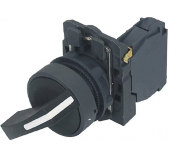Two-position switch